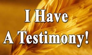 testimony testimony 300x180 My Testimony