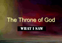 What I Saw at the Throne of My God