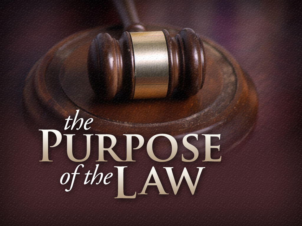 What Is The Purpose Of Law School